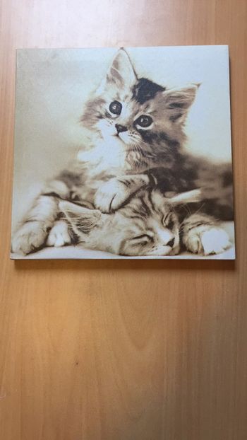 Tableau chat 28x28