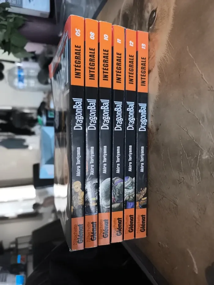Livre dbz - photo numéro 2