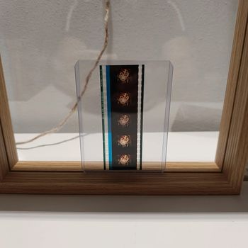 Pellicule démon slayer tanjiro