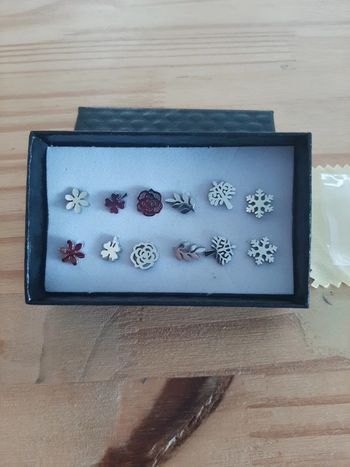 6 paires de boucles