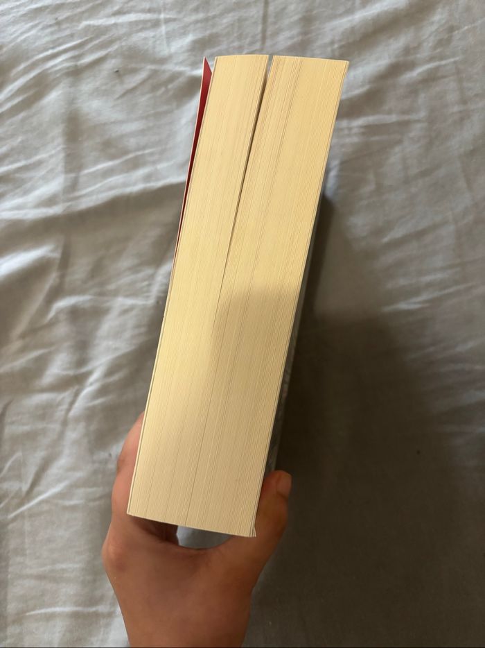 Roman Nevernight - photo numéro 4