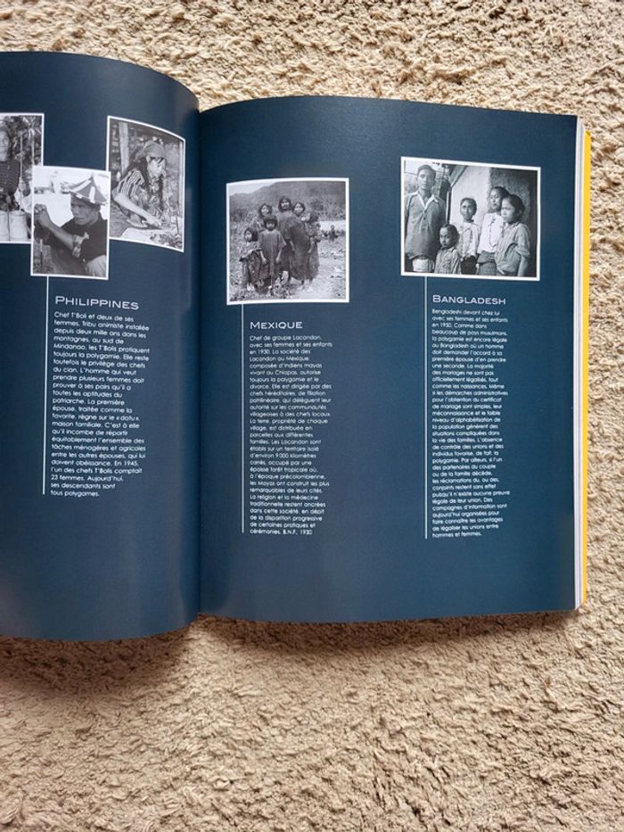 Livre de Jacques Attali Amours, histoires des relations entre les hommes et les femmes - photo numéro 8