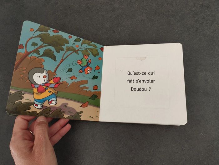 Livre découvre le temps qu'il fait avec T'choupi - photo numéro 4