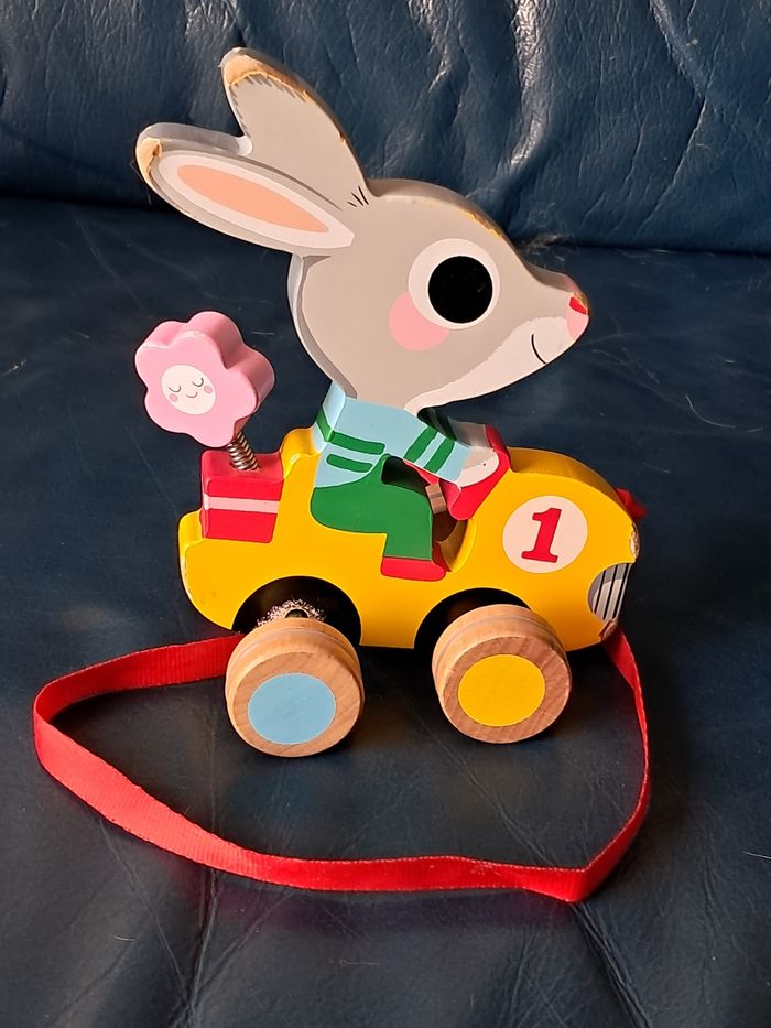 Lapin a tirer - photo numéro 2