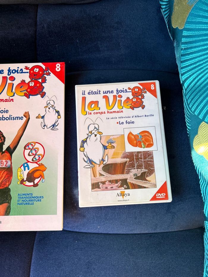 Livre et dvd numéro 8 collection la vie le corps humain - photo numéro 3