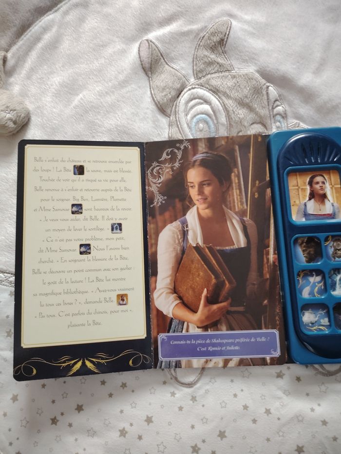 Livre la belle et la bête - photo numéro 5