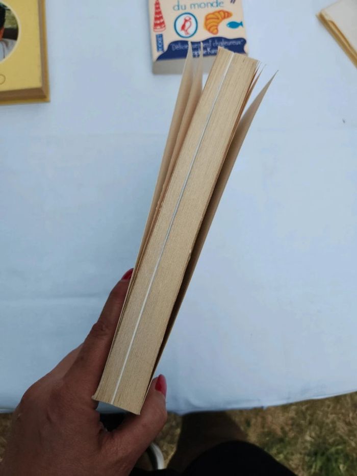 Livre 3 malades sur 4 peuvent être guéris par les plantes - JC Bourret - photo numéro 3