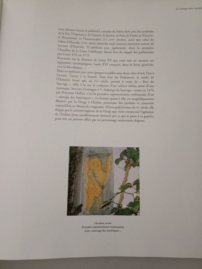 Christian Cau 🔹 Toulouse 2000 ans d'art et d'histoire - photo numéro 3