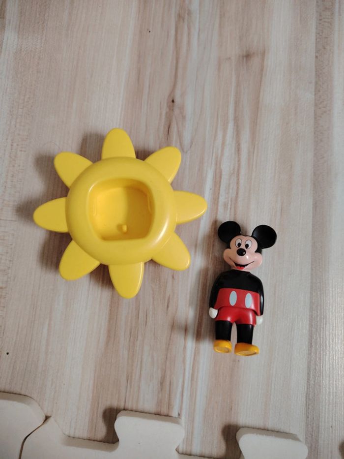 Mickey - photo numéro 2