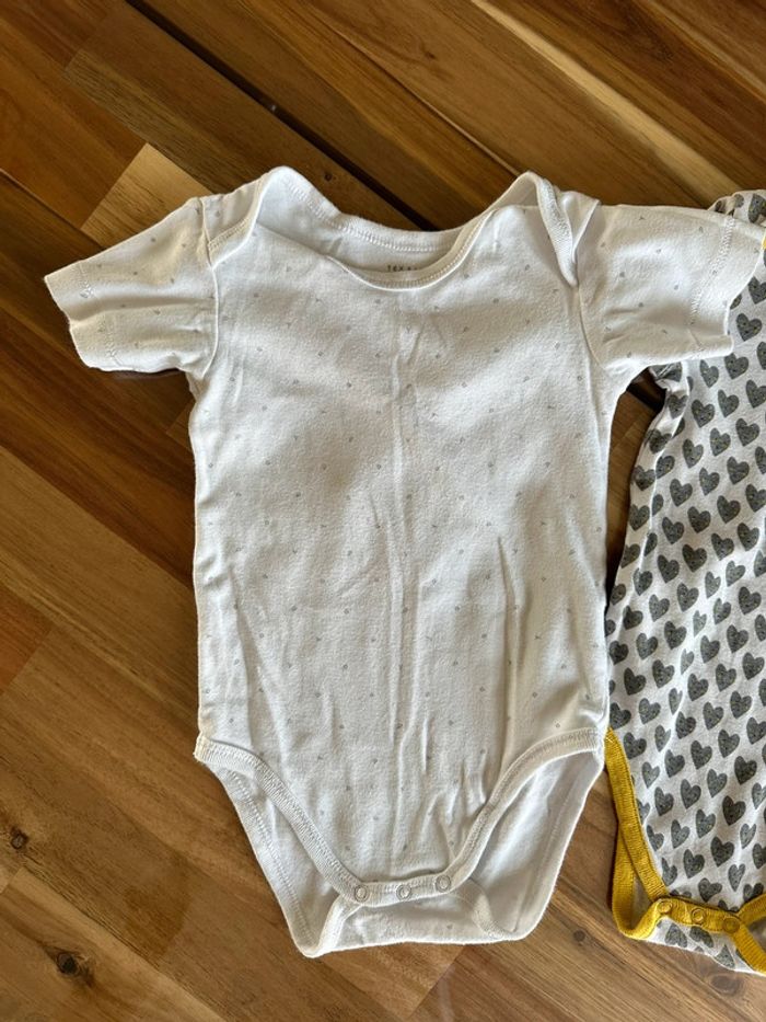 Lot de 3 Bodies 12 Mois - photo numéro 4