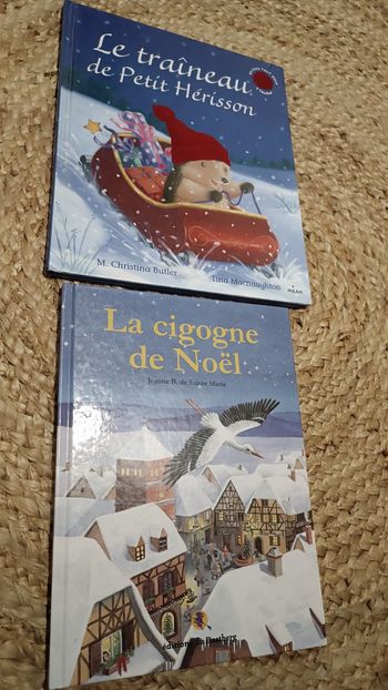 Lot de 2 livres de Noël enfant 🎄