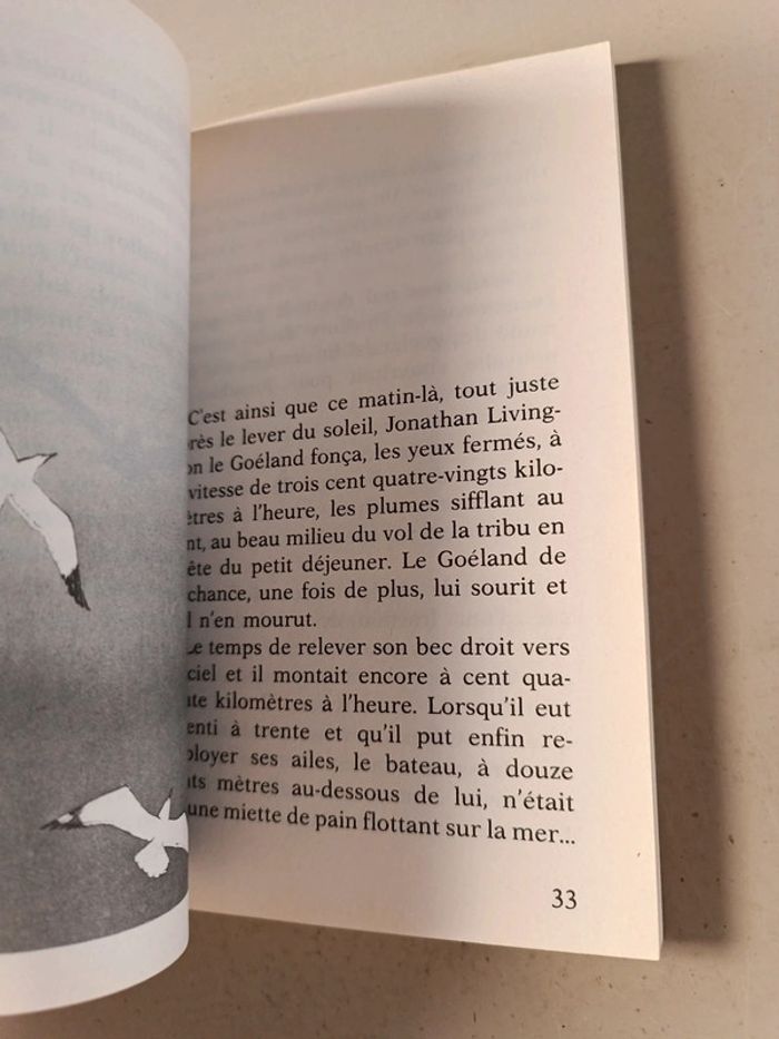 Jonathan Livingston le goéland de Richard Bach - photo numéro 13