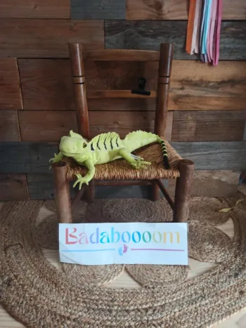 Peluche iguane national Geographic tbe
