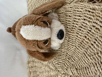 Peluche chien Sam Sad vintage année 1980 Applause