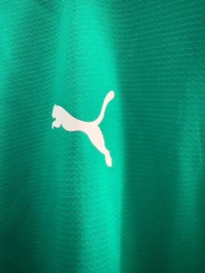 veste de training sport puma homme taille L - photo numéro 11