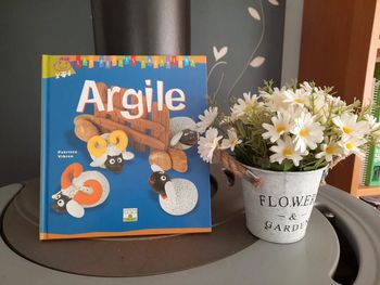 Livre les petits créateurs Argile