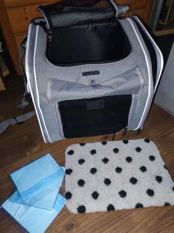 Sac à dos de transport pour chat où petit chien