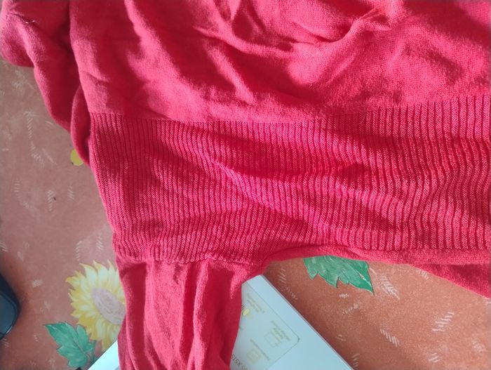 Veste rouge - photo numéro 3