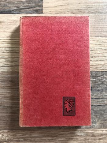 Roman « Les secrets du destin » Luc Jeandré