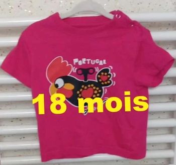 Tee  shirt manche  courte rose motif  poule  multicolore Gatafunhos Taille 18 mois