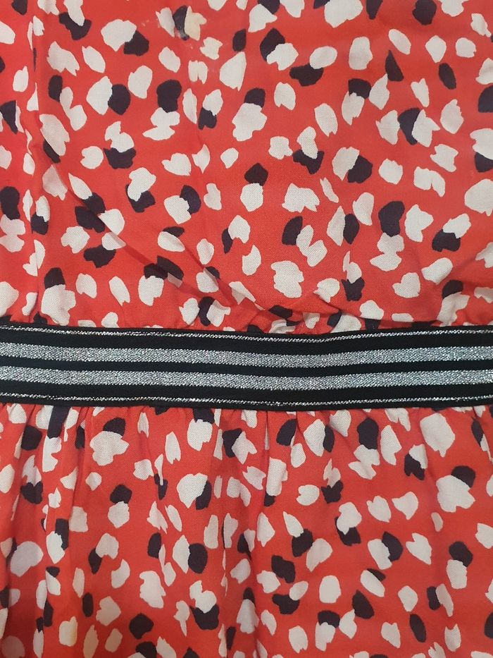 Robe Orchestra - photo numéro 2