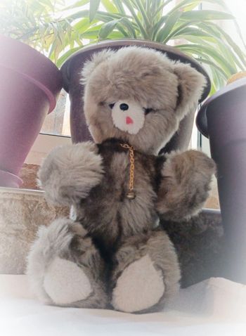 Peluche doudou plush nounours ourson ours Teddy Bear gris grey vintage articulé langue