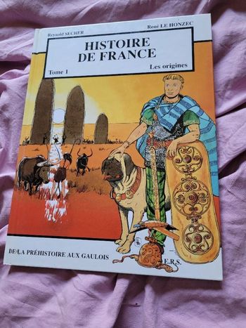 Histoire de France tome 1 les origines