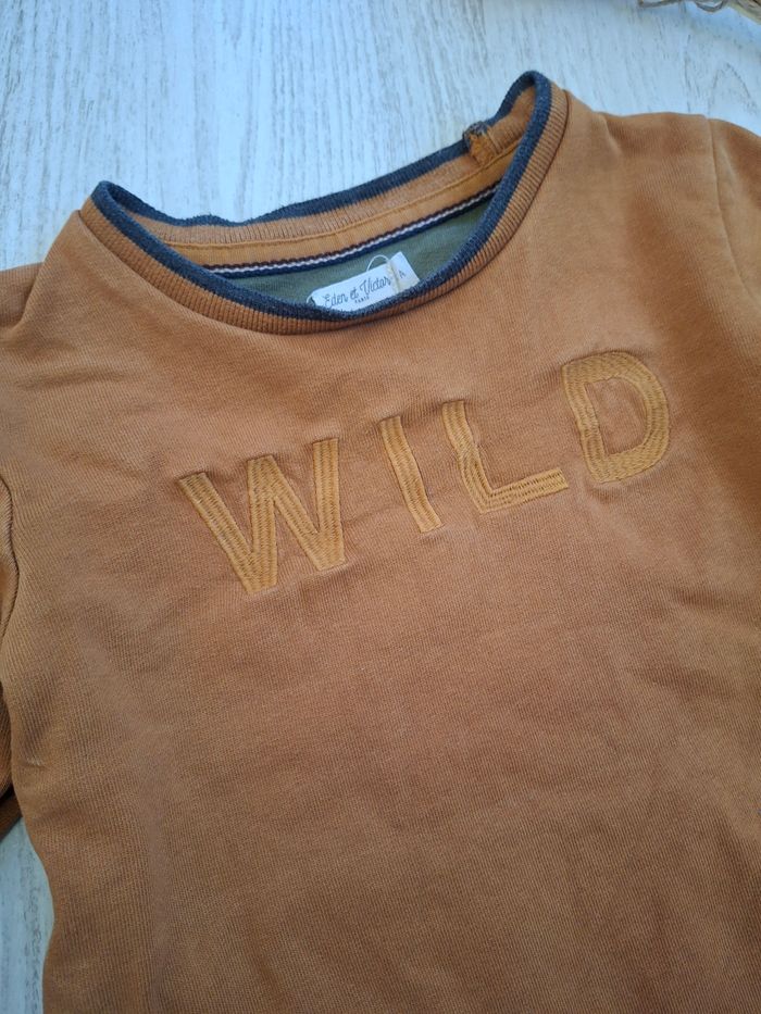 Haut/sweat garçon marron eden et Victor – 4 ans - photo numéro 3