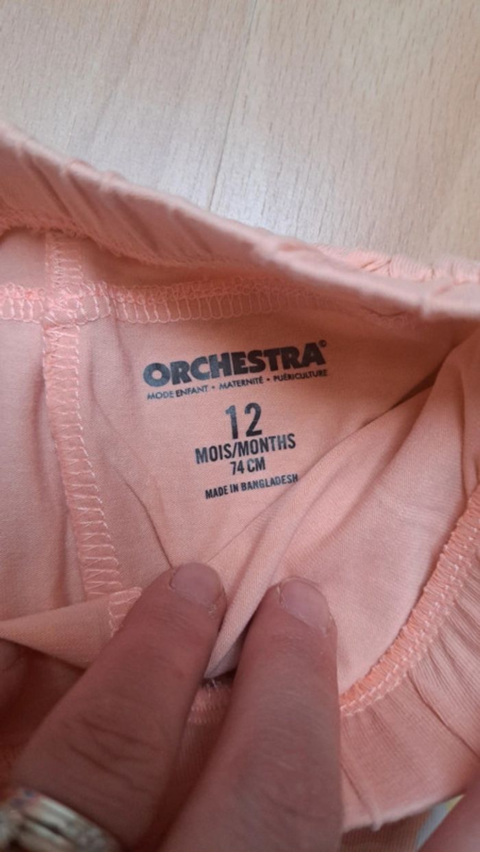 Lot shorts - photo numéro 4