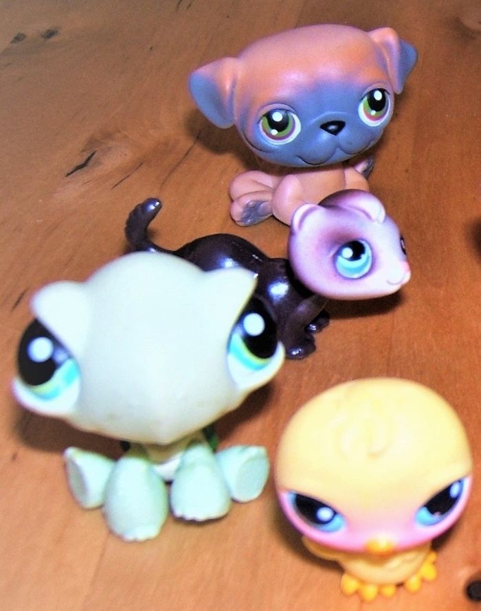 Pets Shop - photo numéro 4