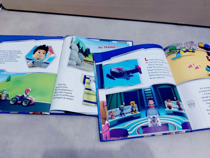 📚 Livre : lot de deux Pat patrouille - photo numéro 3