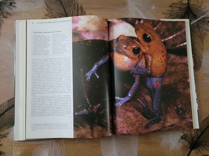 Le comportement animal Neil Curtis - photo numéro 6