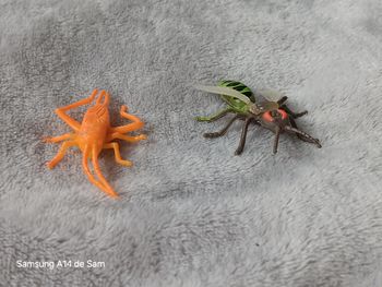 Lot de 2 figurines insecte