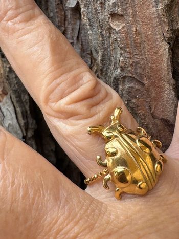 Bague scarabée acier inoxydable or réglable