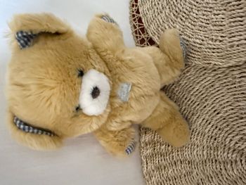 Peluche ours TARTINE ET CHOCOLAT Marron et bleu non lavé
