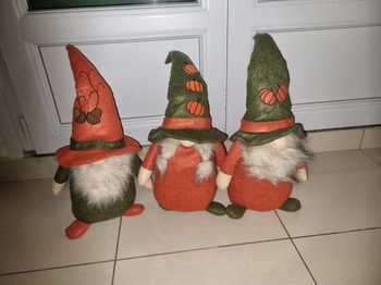 Gnomes automne 45cm