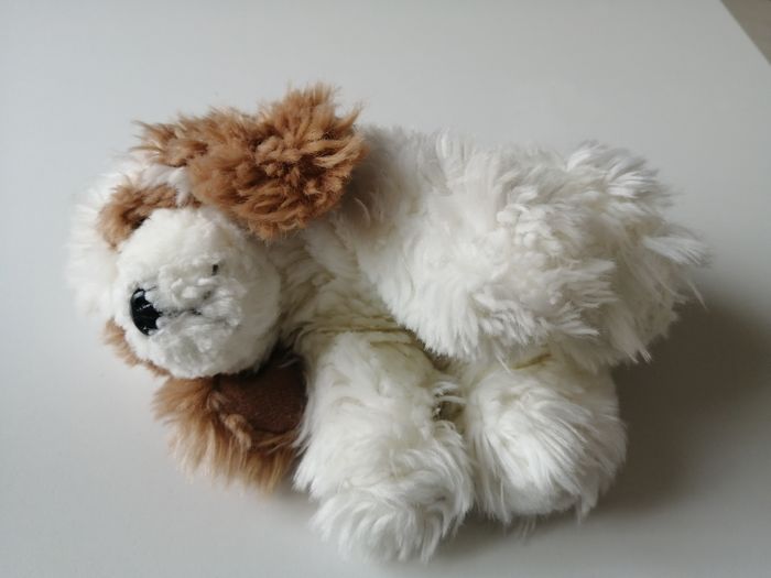 lot livre et peluche chien - photo numéro 9
