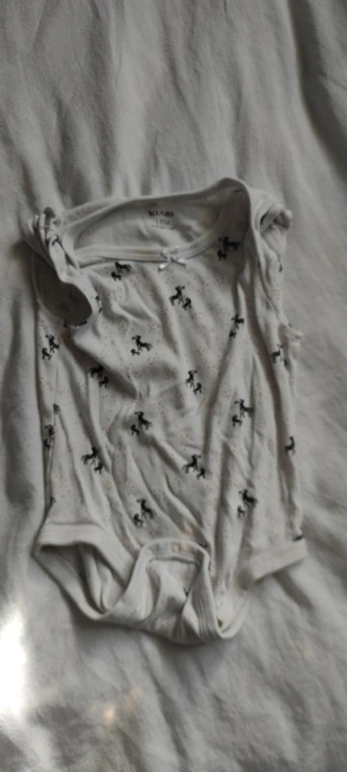 Lot 5 bodies - photo numéro 3