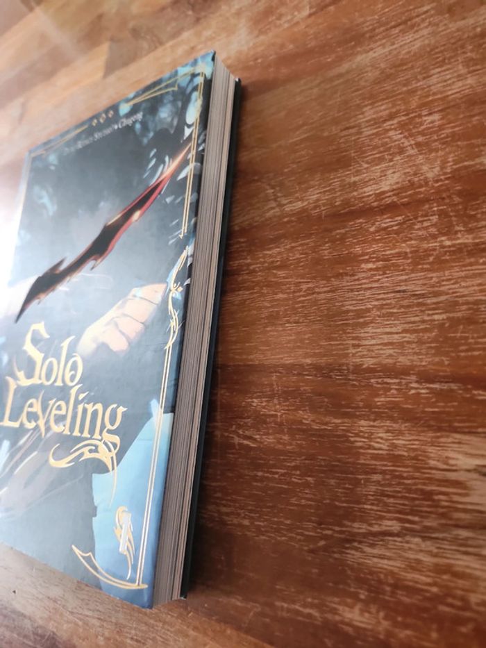 Bande dessinée : Solo Leveling - photo numéro 4