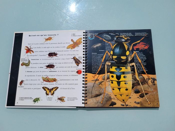 🦗 Mille Milliards d'insectes 🪳livre animé Gallimard Jeunesse (73) - photo numéro 4