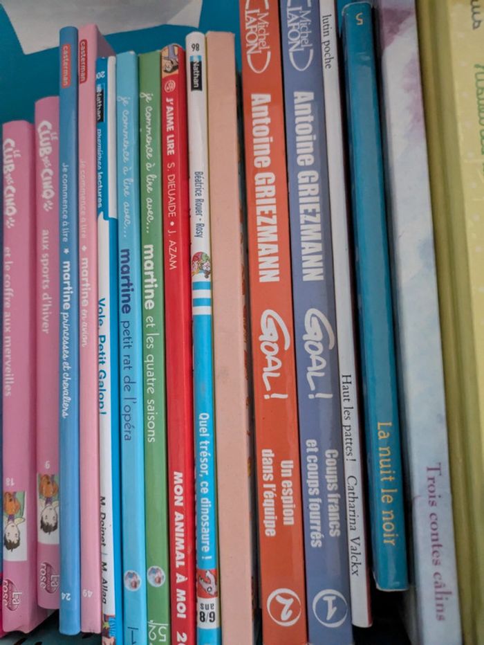 Livre - photo numéro 4