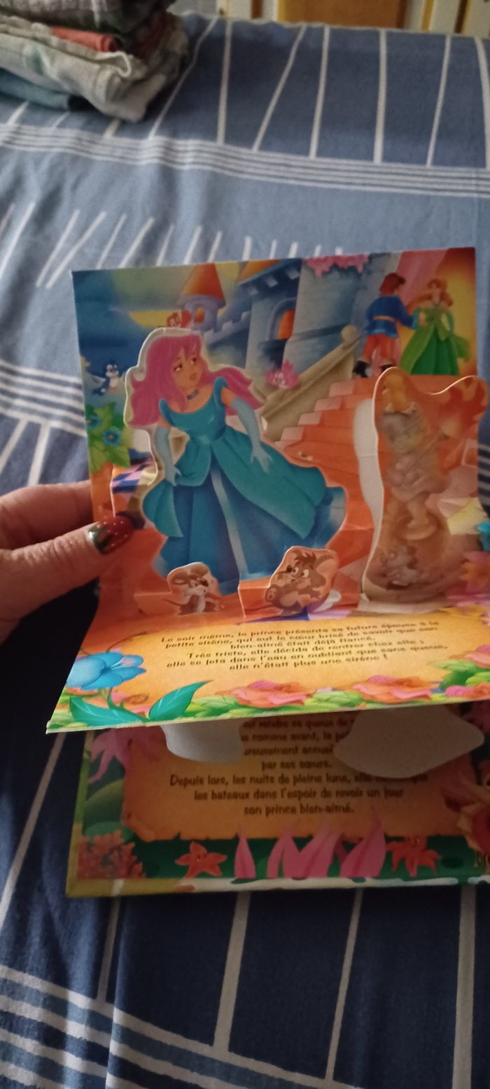 Très beau petit livre - photo numéro 5