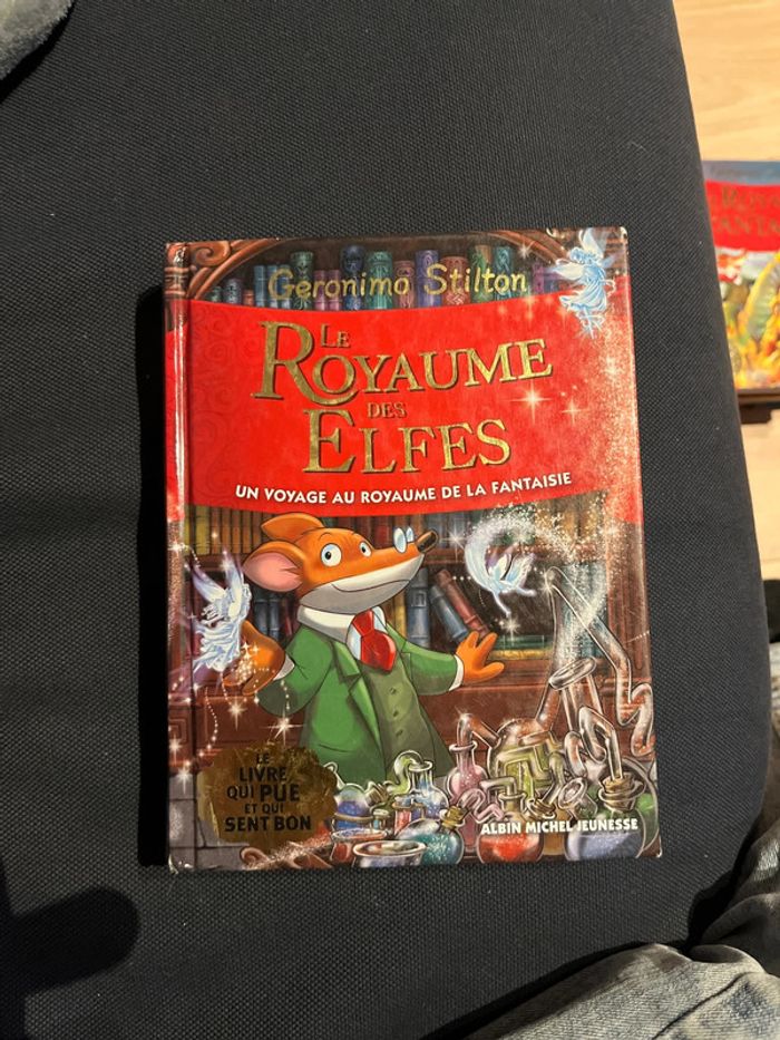 Livre pour enfants Geronimo stilton le royaume des elfes