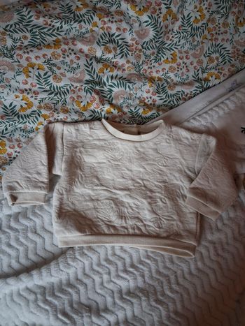 Pull 12 mois