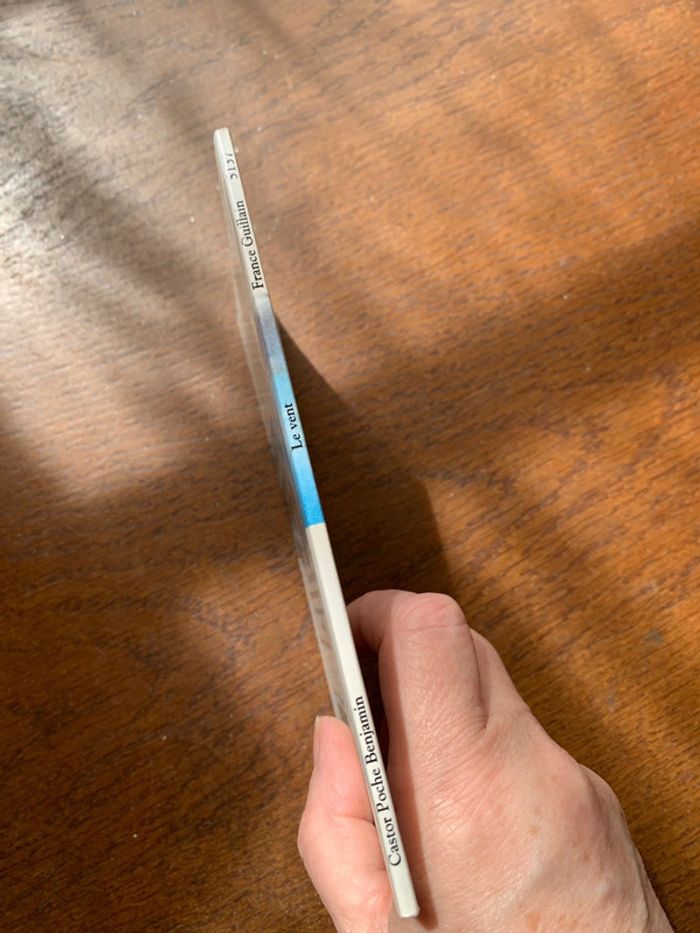 Le vent - photo numéro 3