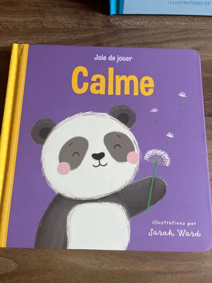 2 livres calme et nuit - photo numéro 2