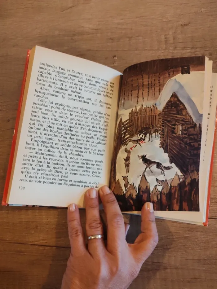 Livre "le piège d'or" - photo numéro 3