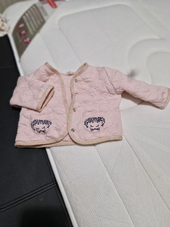 Veste