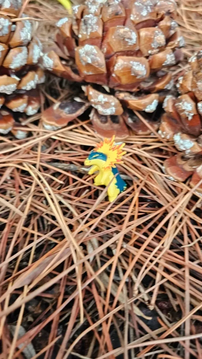 Super petite figurine Pokemon Nintendo typhlosion