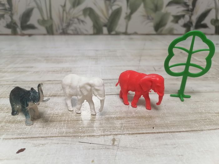 Animaux. - photo numéro 10